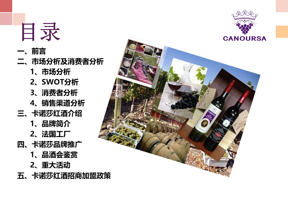 葡萄酒招商方案.ppt_第2页