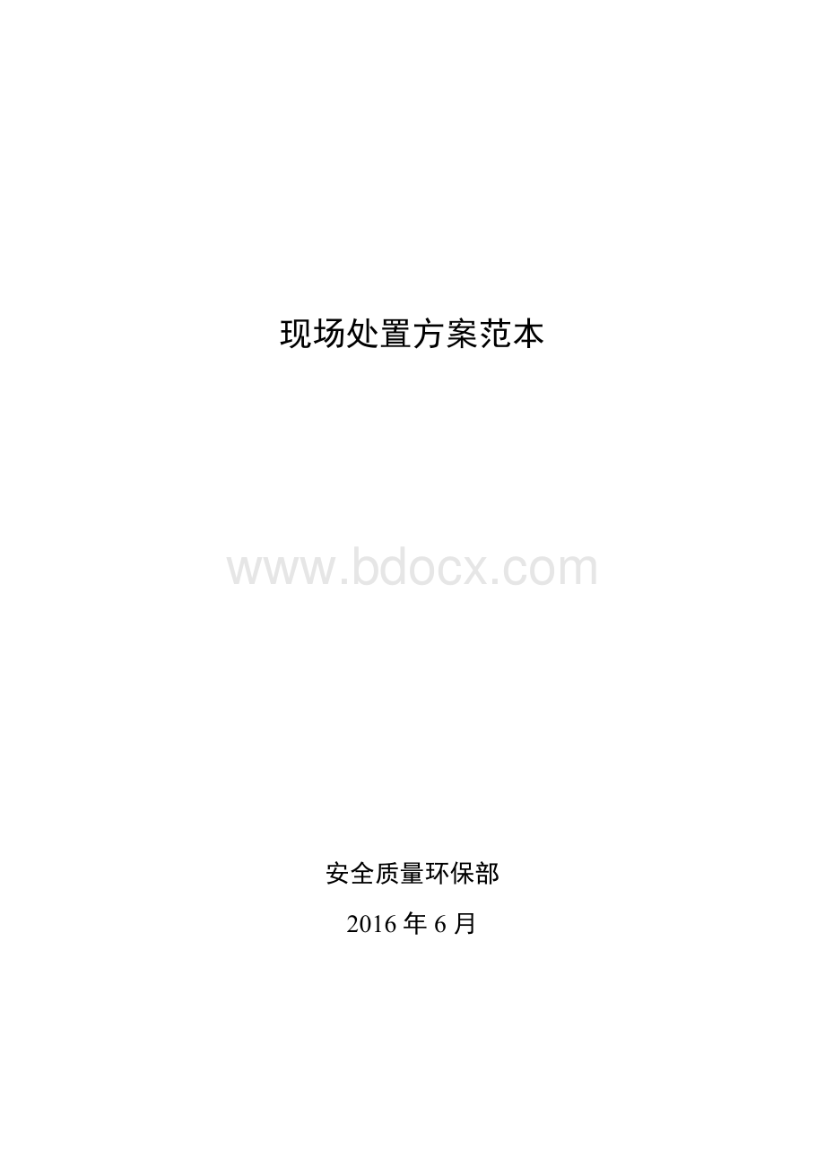 现场处置方案范本.docx_第2页