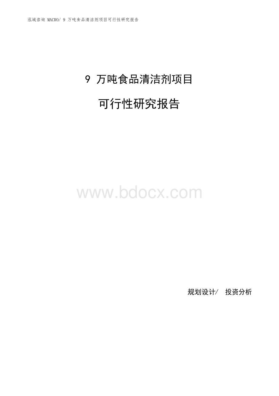 9万吨食品清洁剂项目可行性研究报告.docx