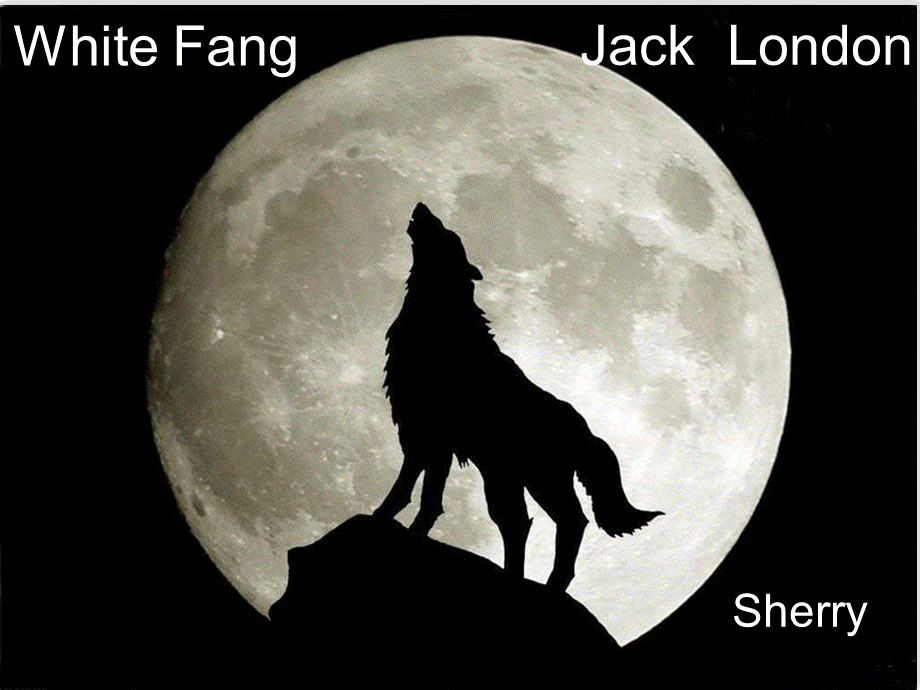 典范英语九White-Fang.ppt