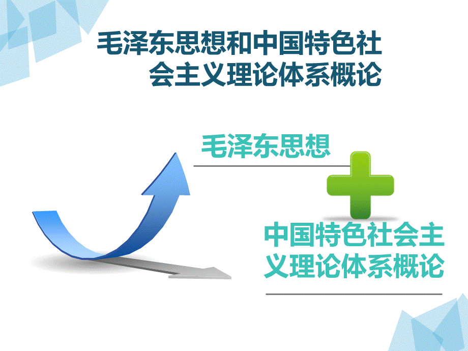 毛概ppt教学课件.ppt_第3页