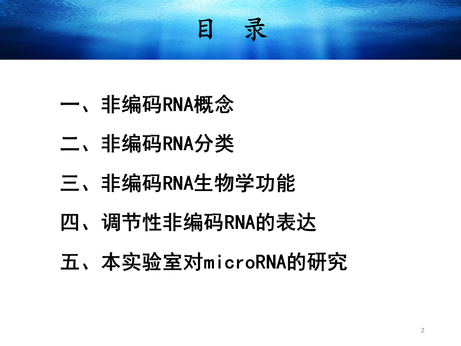 非编码RNA优质PPT.pptx_第2页