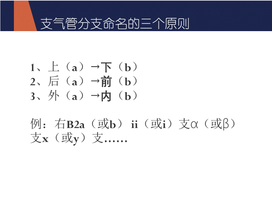 支气管命名学习资料PPT文件格式下载.pptx_第3页