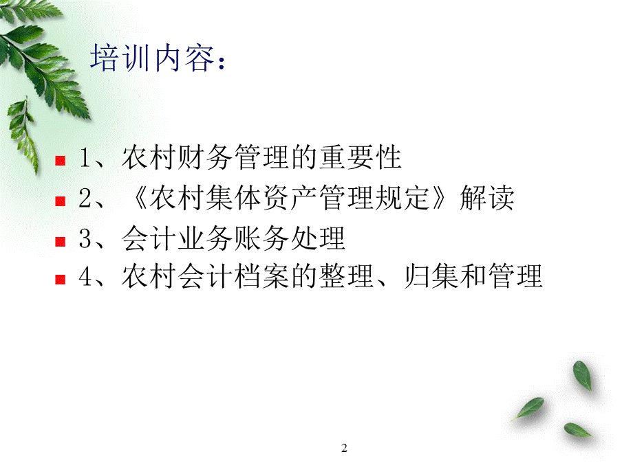 农村级财务管理培训ppt课件优质PPT.ppt_第2页