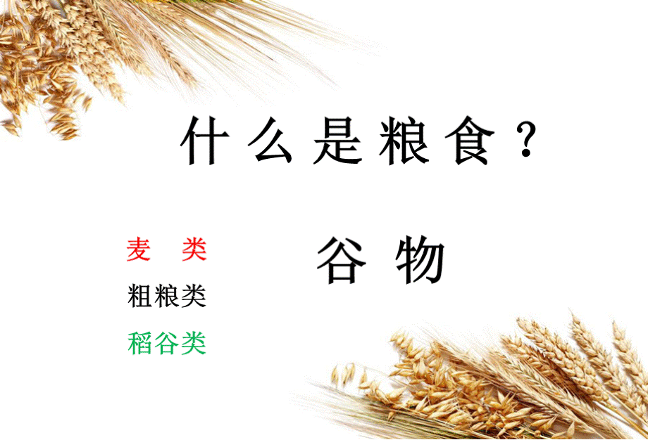 节粮爱粮主题班会课件.ppt_第3页