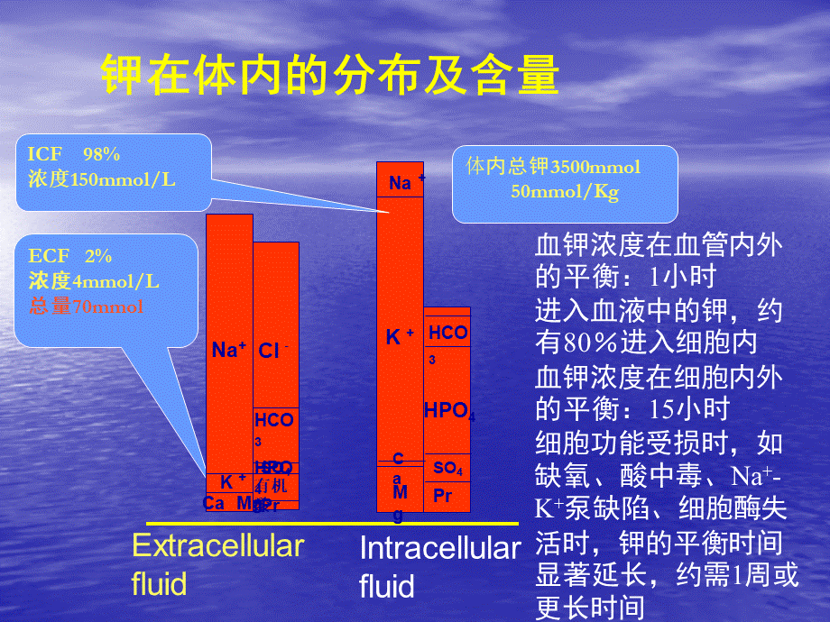 电解质紊乱与酸碱失衡 (1)PPT文档格式.ppt_第3页