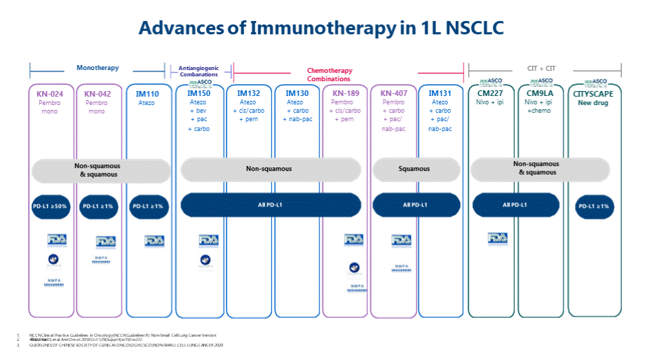 晚期NSCLC免疫一线治疗策略.pptx_第2页