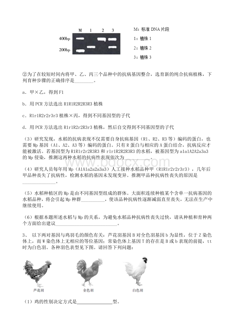 高中生物2021届专题复习——遗传的基本定律训练题【含详解】.doc_第2页