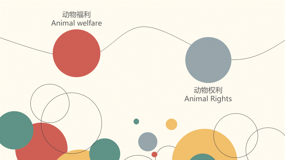 动物福利与动物权利ppt.ppt_第2页