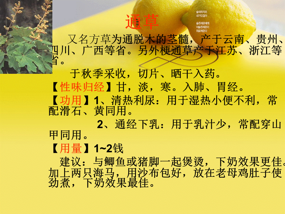 催乳常用中药优质PPT.ppt