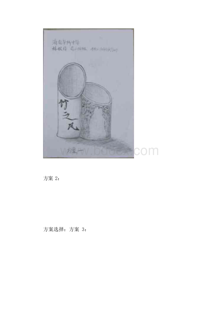 普通高中通用技术学生设计作品图文材料Word文档下载推荐.docx_第3页