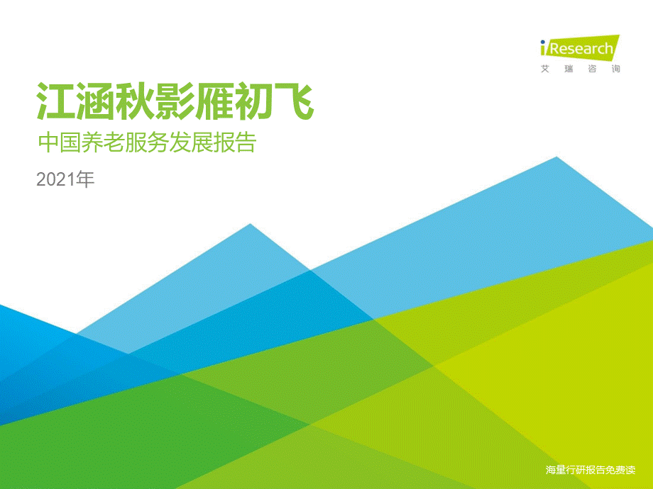 江涵秋影雁初飞-2021年中国养老服务发展报告PPT文档格式.pptx