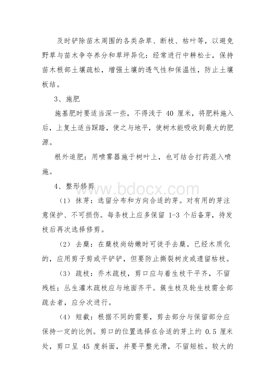 苗木养护期间的管理措施.docx_第2页