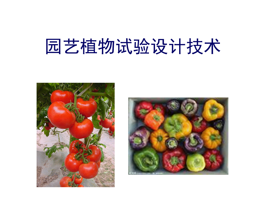 园艺植物试验设计技术.ppt