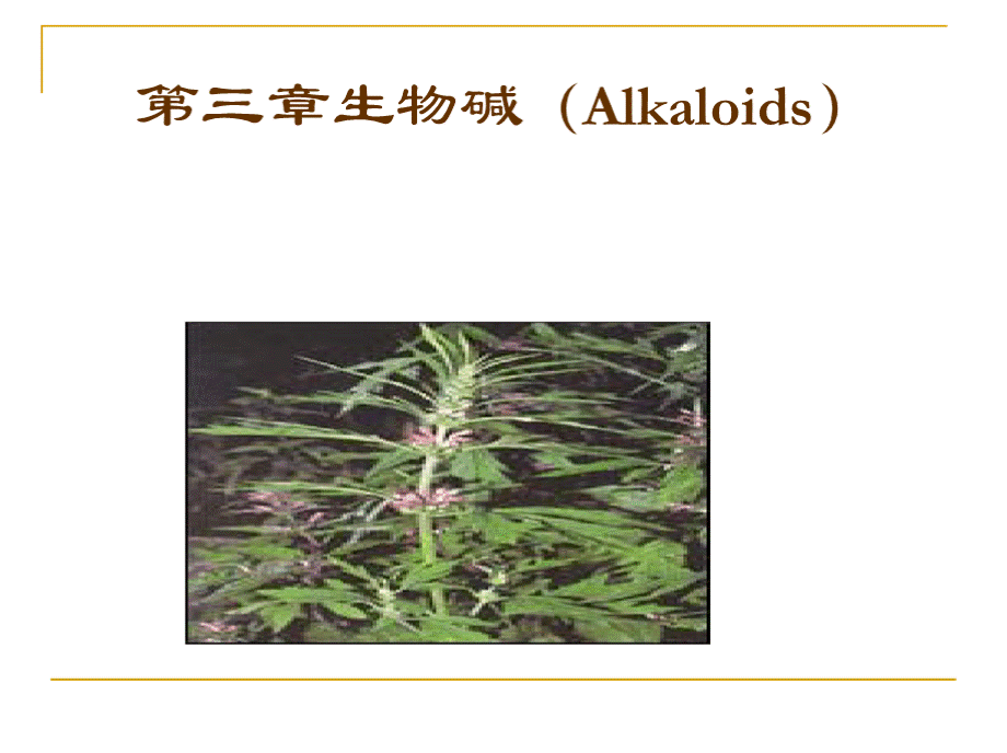 第十章生物碱.pptx_第1页