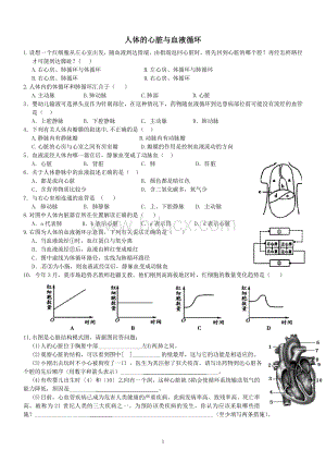 科教版初中科学生物精选题-5、人体的心脏与血液循环---附答案 (1).doc