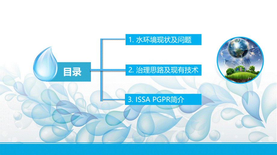 水体的原位修复技术.pptx_第2页