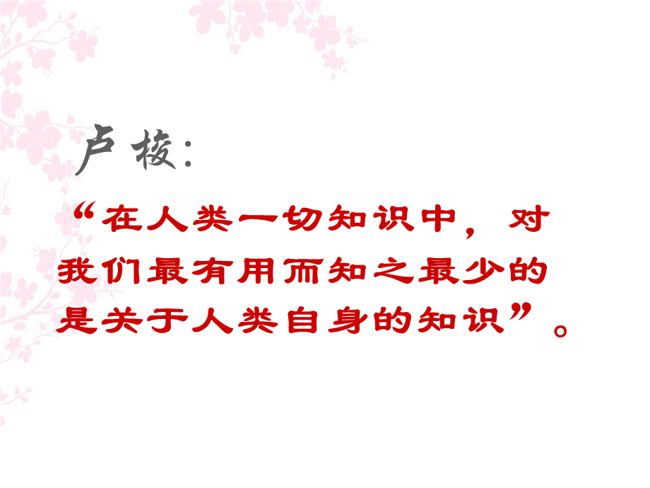 接纳不完美的自己.ppt_第2页