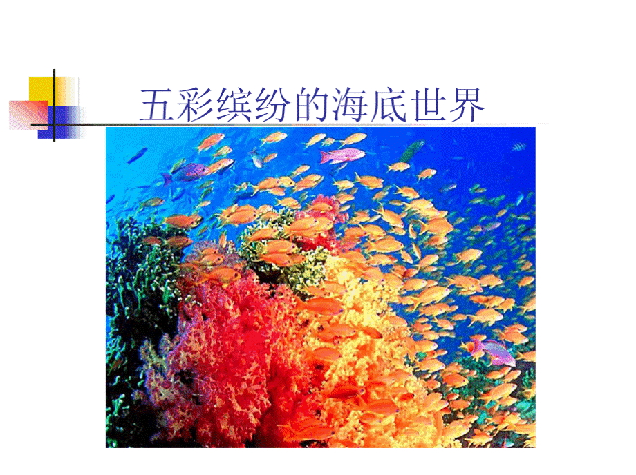 水生观赏动物养殖学-绪论.pptx_第3页