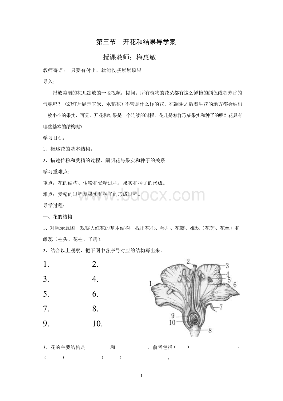 开花和结果导学案.docx