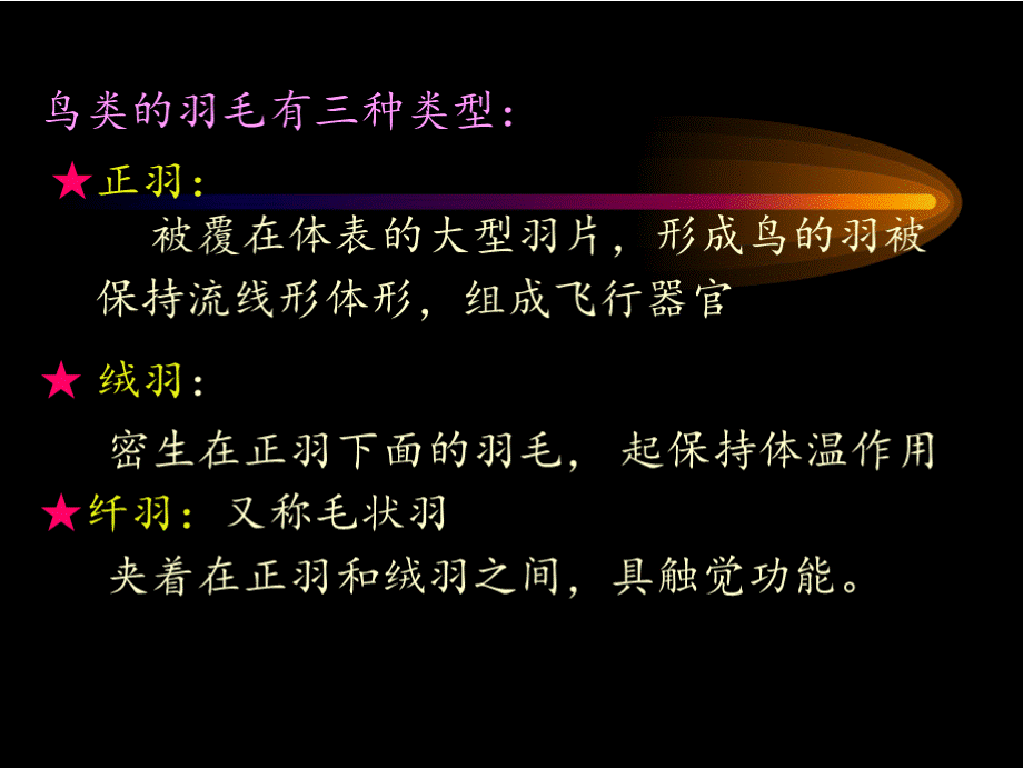 第13章鸟类资源091011PPT推荐.pptx_第3页