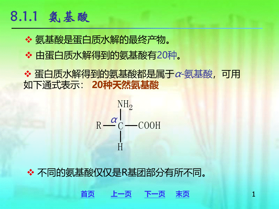 普通化学-生物大分子基础PPT课件下载推荐.ppt_第1页