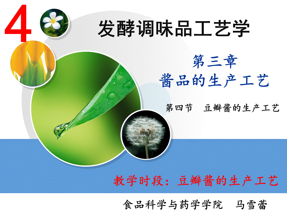 豆瓣酱的生产工艺.ppt