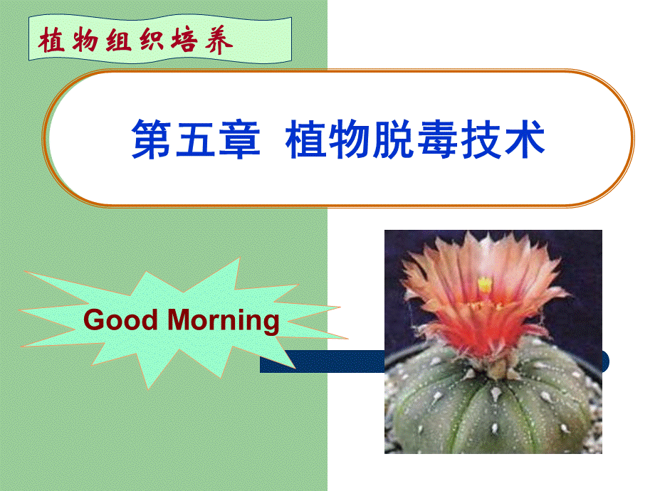 第五章植物脱毒技术.ppt_第1页