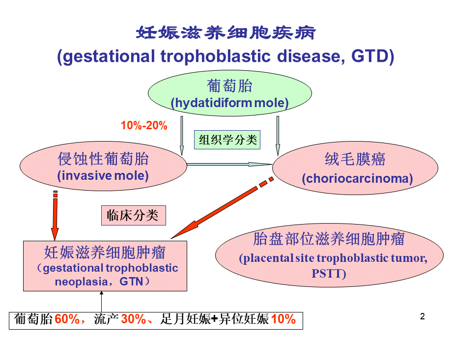 妊娠滋养细胞肿瘤.ppt_第2页