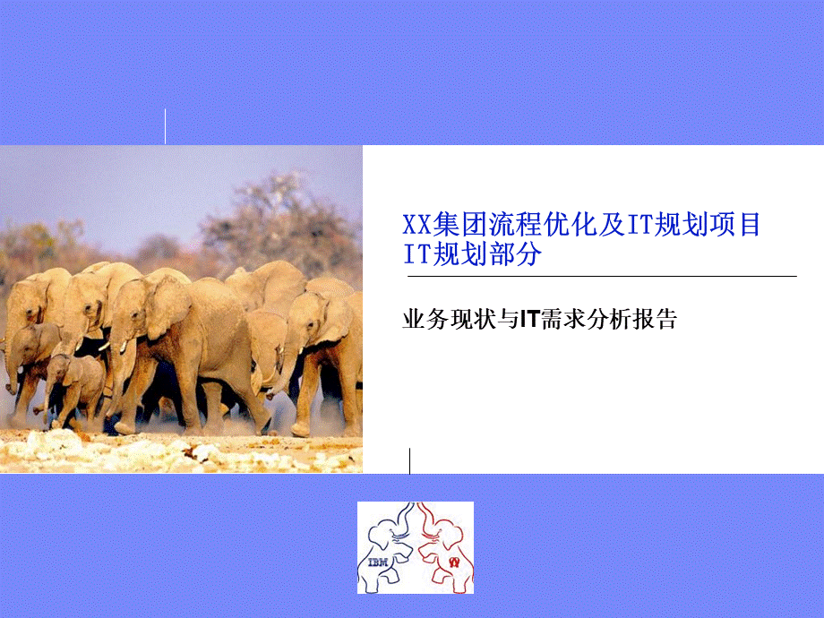 XX公司IT战略规划-.ppt_第1页