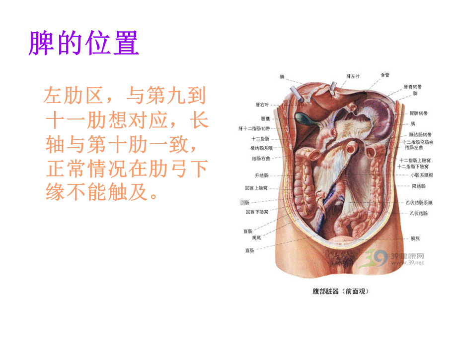 脾破裂的护理查房PPT资料.ppt_第3页