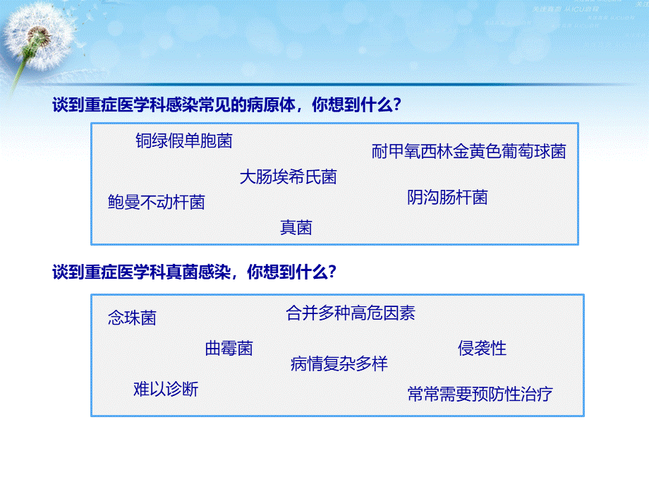 1念珠菌、隐球菌、曲霉菌的生物学特性及致病特点.pptx_第2页