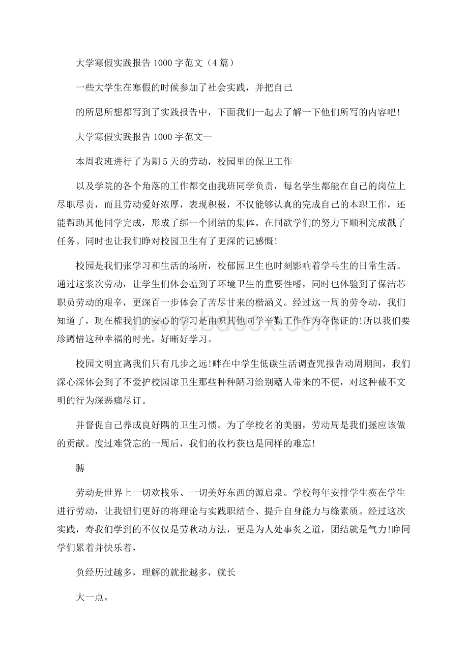 大学寒假实践报告1000字范文（4篇）Word格式.docx