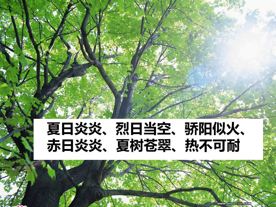 11-夏天-pptPPT推荐.ppt_第3页