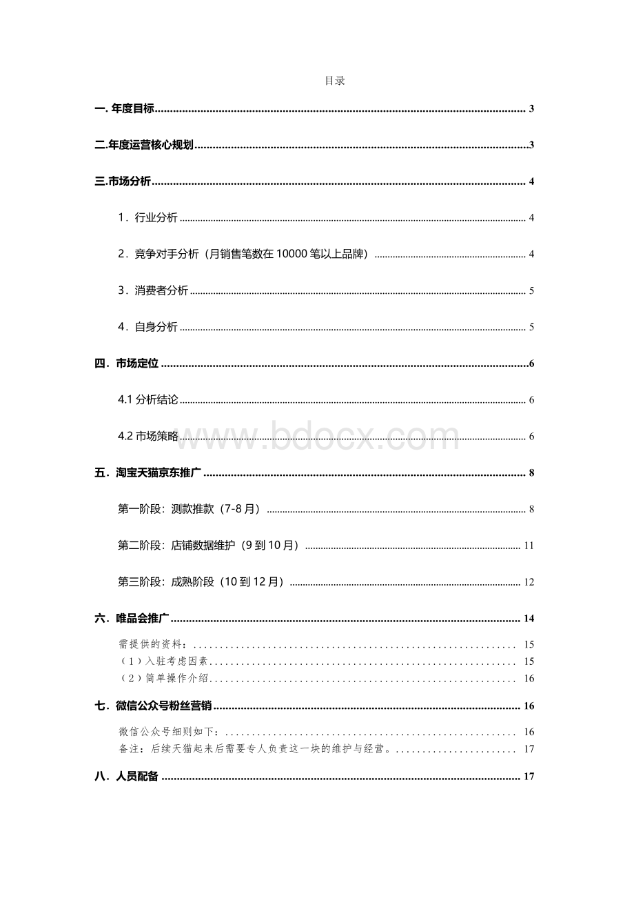 公司电商年度运营工作计划(方案)【超级完整版】Word文件下载.docx_第2页