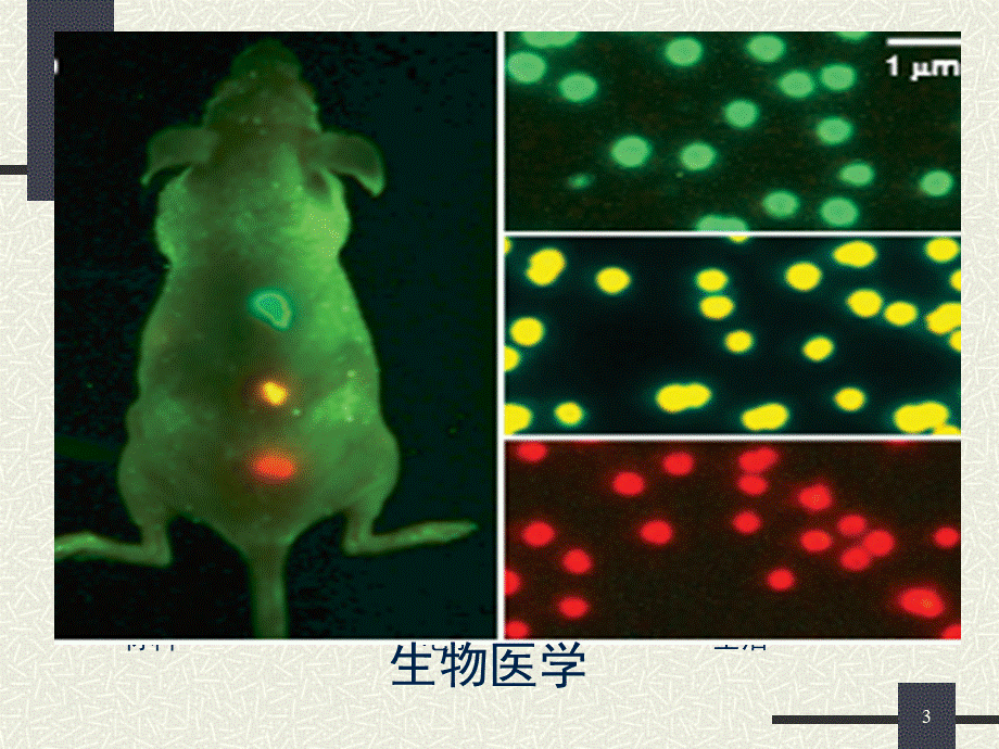 纳米生物医学应用PPT文件格式下载.ppt_第3页