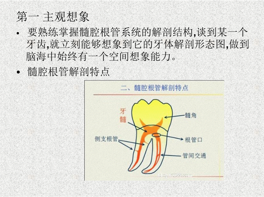 浅析根管口的探查PPT文件格式下载.pptx_第2页