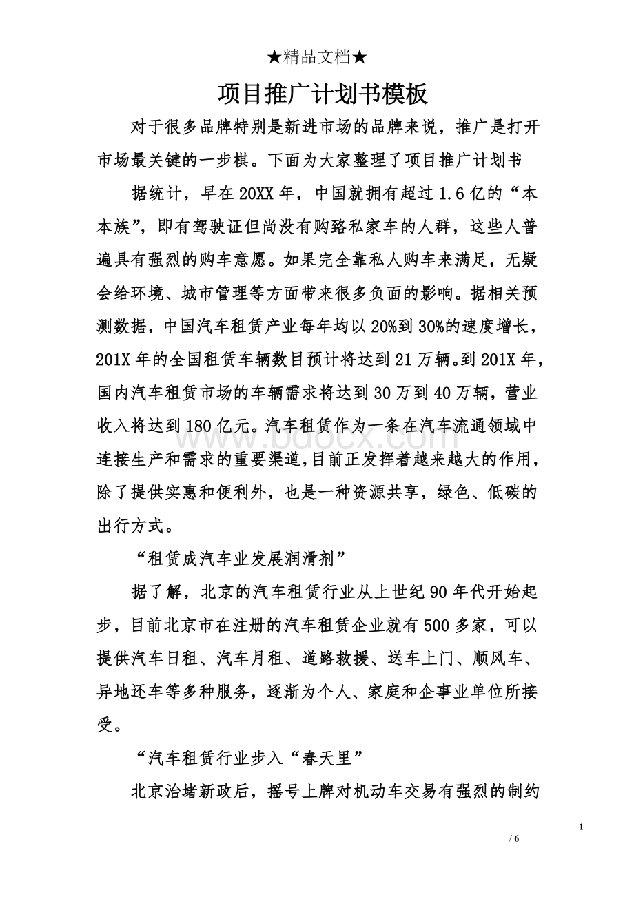 项目推广计划书模板Word格式文档下载.doc