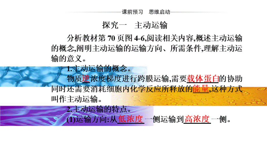 新教材《主动运输与胞吞、胞吐》优质课件人教版1PPT资料.pptx_第3页