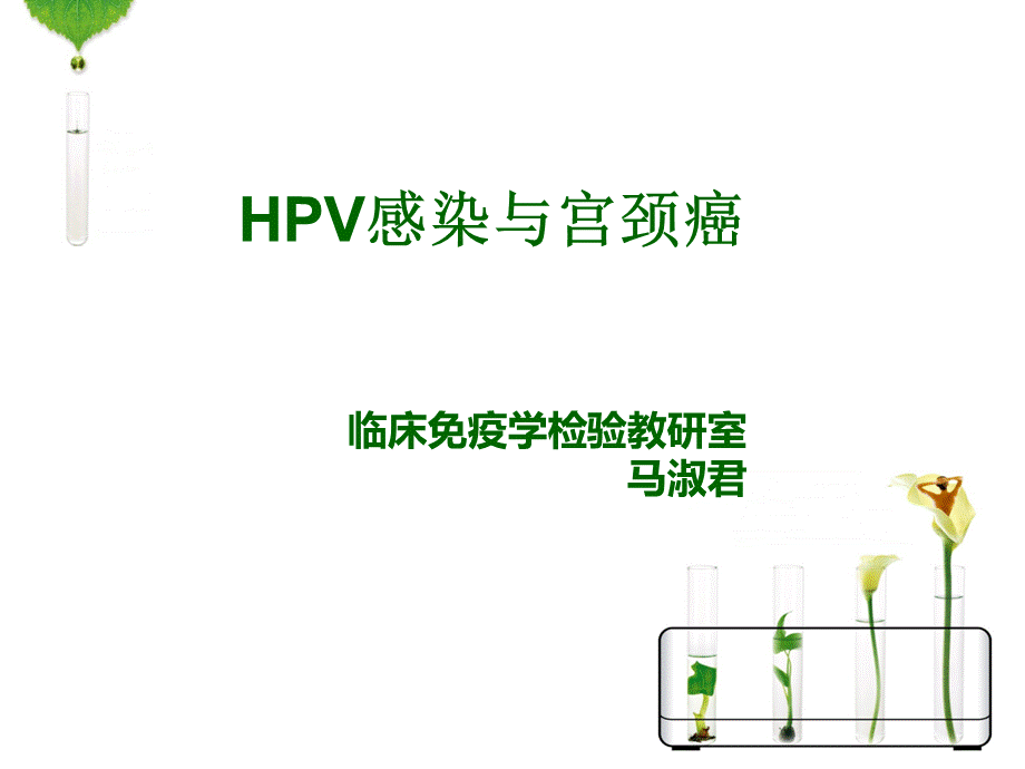 HPV感染与宫颈癌ppt课件.ppt_第1页