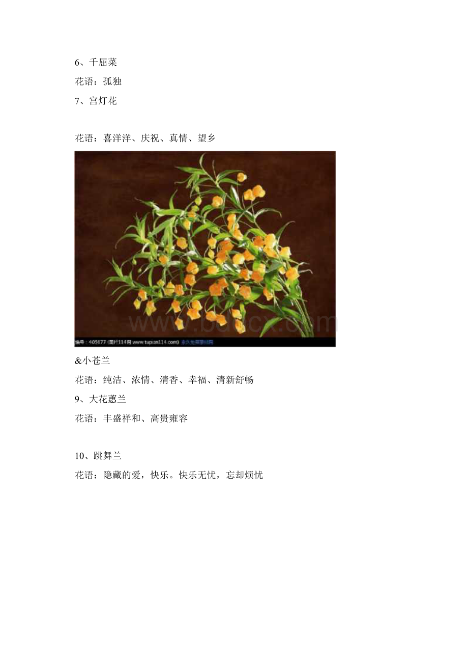 花店常用花及花语.docx_第2页