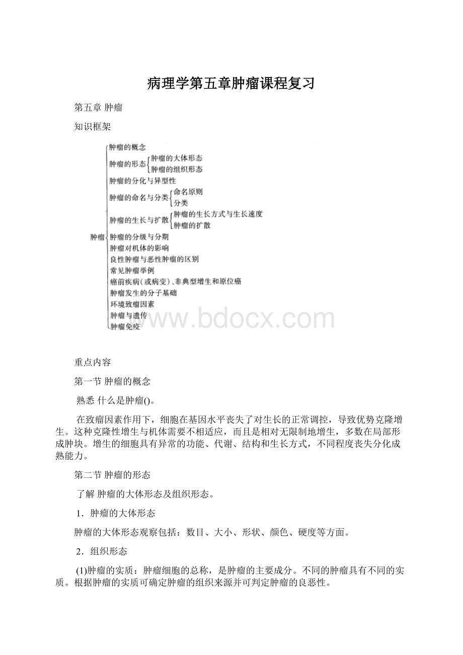 病理学第五章肿瘤课程复习Word格式文档下载.docx