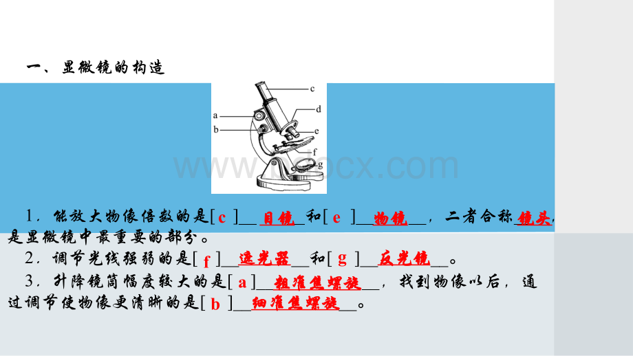 人教版七年级生物上册第二单元第一章习题课件PPT资料.ppt_第3页