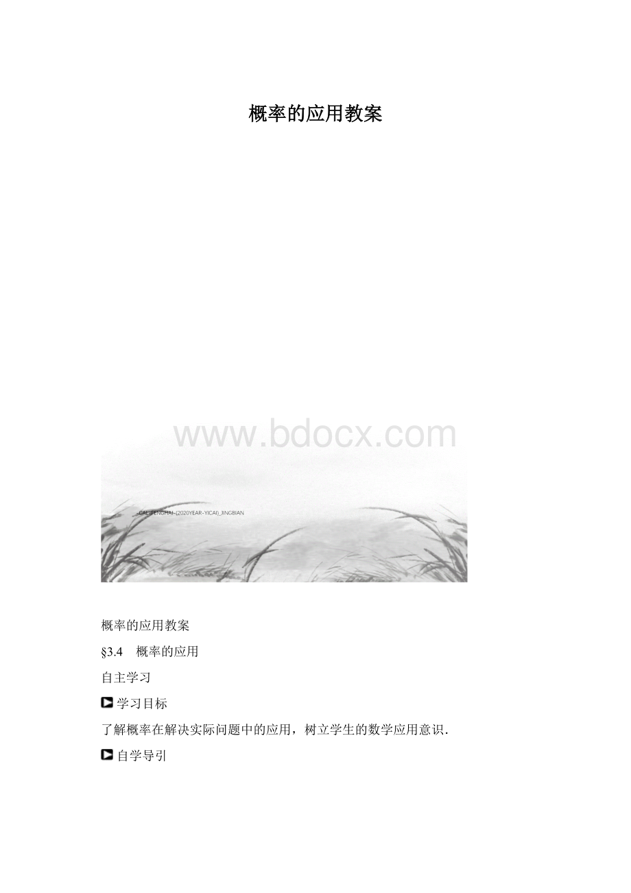 概率的应用教案Word格式文档下载.docx