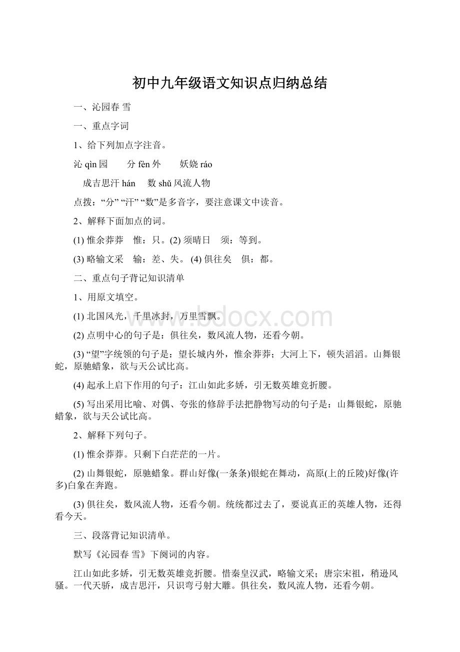 初中九年级语文知识点归纳总结.docx