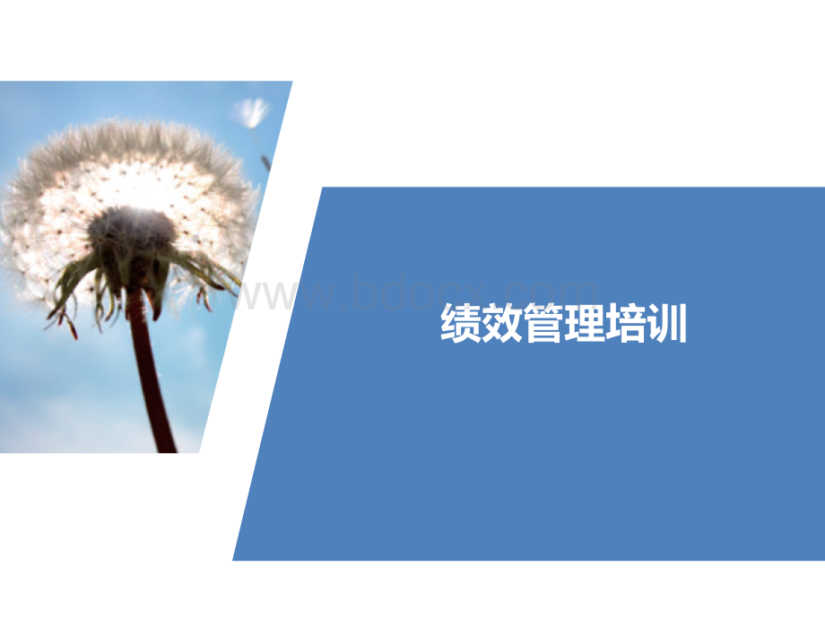 绩效管理培训(集团公司)PPT(价值2万一天内训课用)PPT文件格式下载.ppt