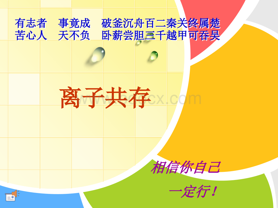 初中离子共存问题课件.ppt_第1页