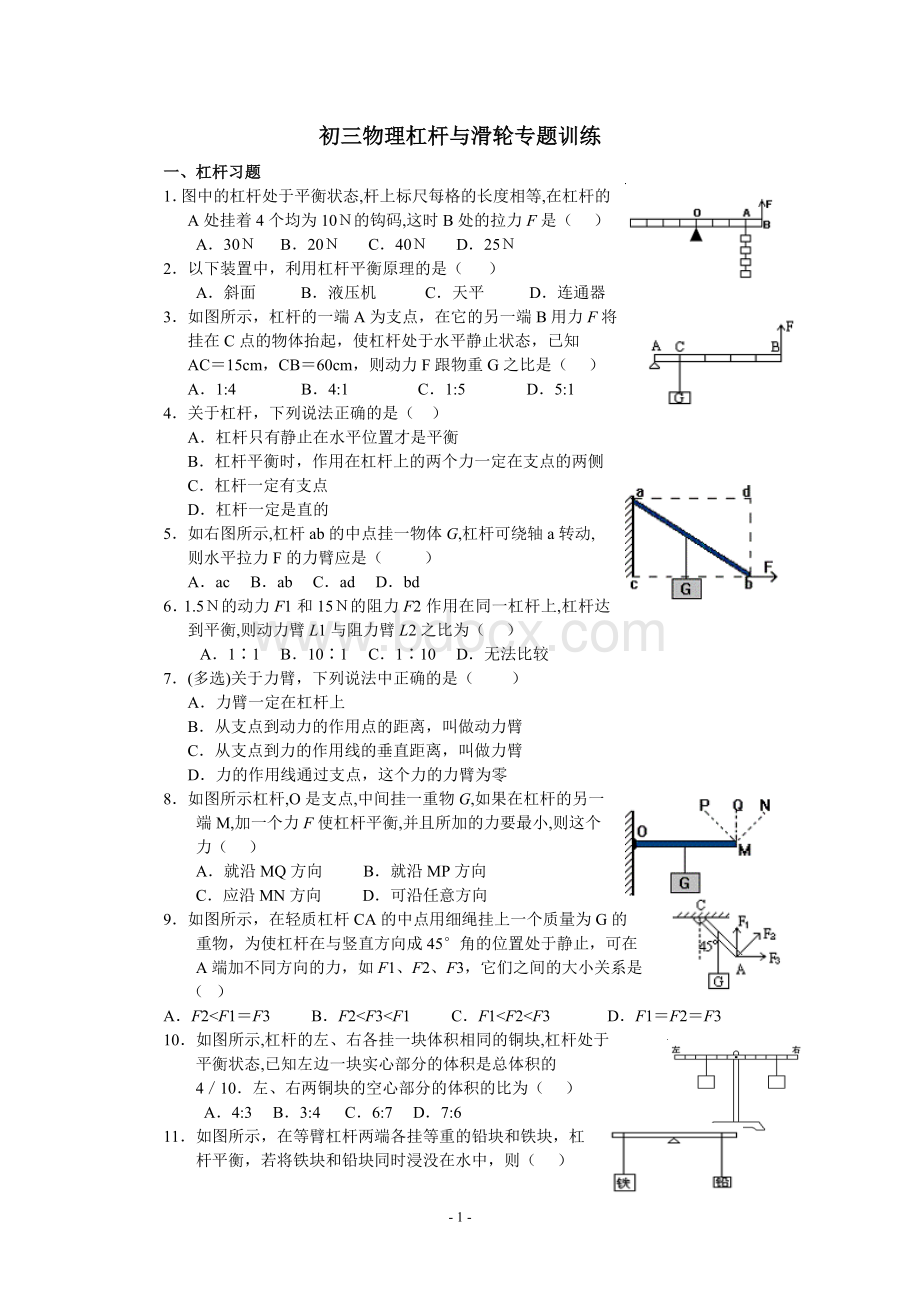 初三物理杠杆与滑轮专题训练.doc