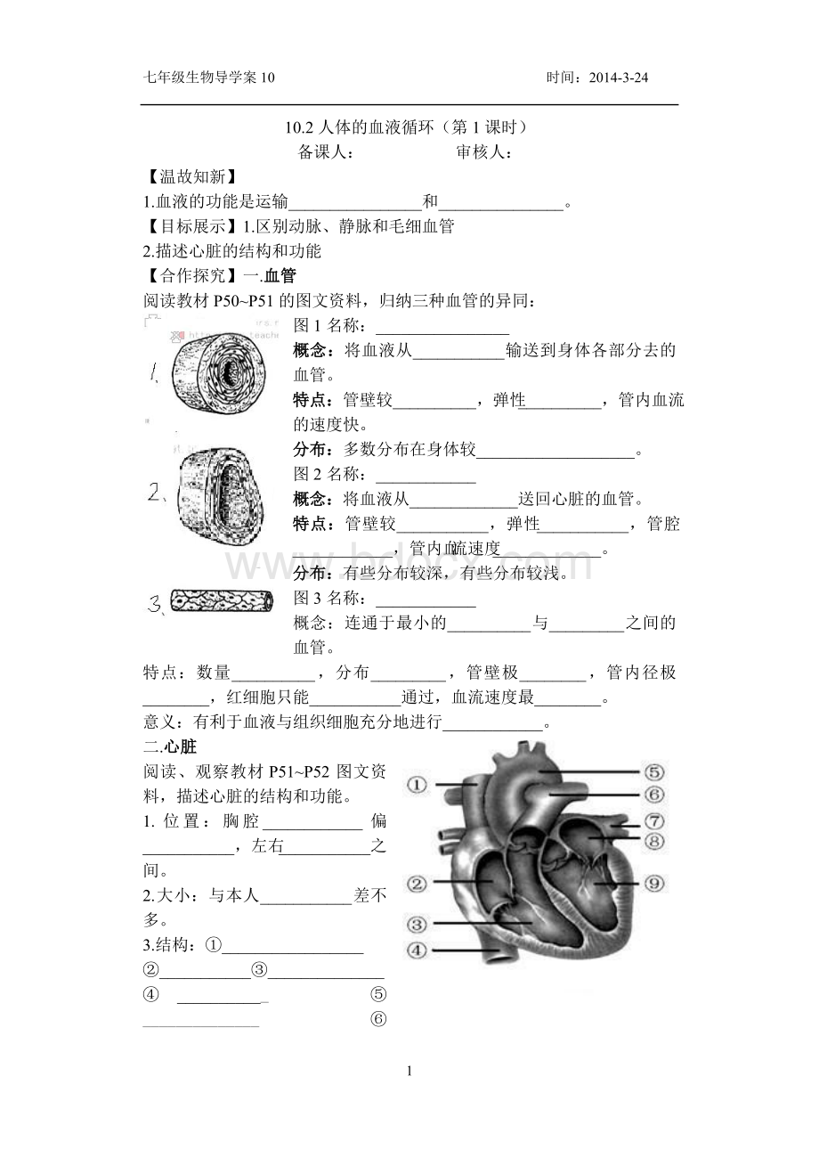 人体的血液循环第课时导学案Word格式.doc_第1页