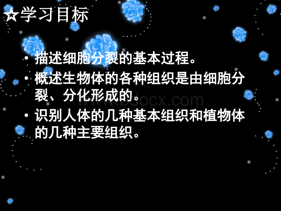 《细胞的分裂和分化》课件.ppt_第3页